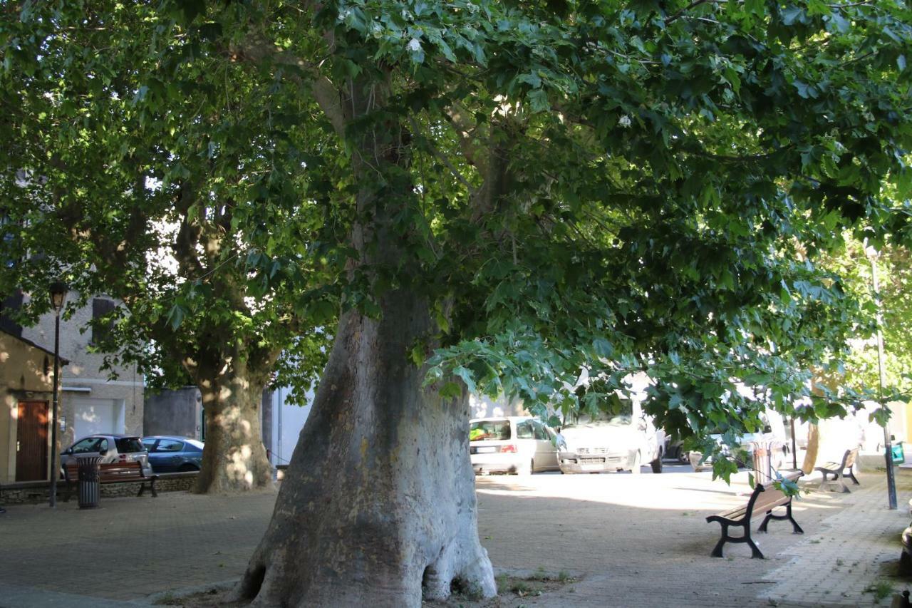 Appartamento Cosy Corner LʼIsle-sur-la-Sorgue Esterno foto